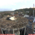 05_50-nest.jpg