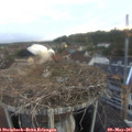 05_55-nest.jpg