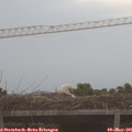 06_00-mast.jpg