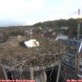 06_00-nest.jpg