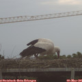 06_05-mast.jpg