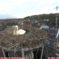 06_10-nest.jpg