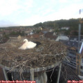 06_15-nest.jpg