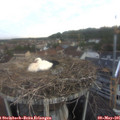 06_20-nest.jpg