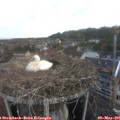 06_25-nest.jpg