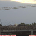06_30-mast.jpg