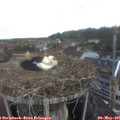 06_30-nest.jpg