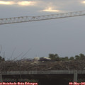 06_40-mast.jpg
