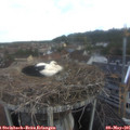 06_40-nest.jpg