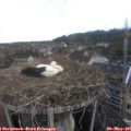06_50-nest.jpg