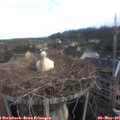 07_05-nest.jpg