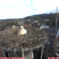 07_10-nest.jpg