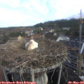 07_15-nest.jpg