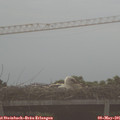 07_20-mast.jpg