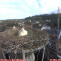 07_20-nest.jpg