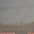 07_25-mast.jpg