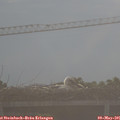 07_30-mast.jpg