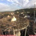 07_30-nest.jpg