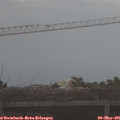 07_35-mast.jpg
