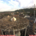 07_35-nest.jpg
