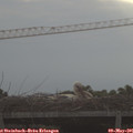 07_40-mast.jpg