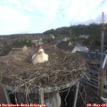 07_40-nest.jpg