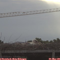 07_45-mast.jpg