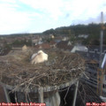 07_45-nest.jpg