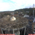 07_50-nest.jpg
