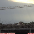 07_55-mast.jpg