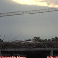 08_00-mast.jpg
