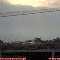 08_05-mast.jpg