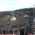 08_05-nest.jpg