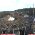 08_15-nest.jpg