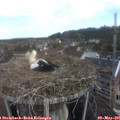 08_25-nest.jpg