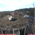 08_30-nest.jpg