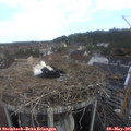 08_40-nest.jpg