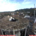 09_00-nest.jpg