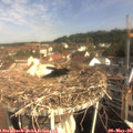 09_10-nest.jpg