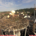 09_20-nest.jpg