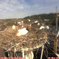 09_25-nest.jpg