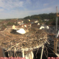 09_30-nest.jpg