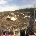 09_35-nest.jpg