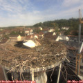 09_40-nest.jpg