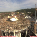 09_50-nest.jpg