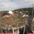 09_55-nest.jpg