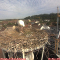 10_00-nest.jpg