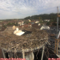 10_05-nest.jpg