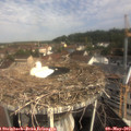10_10-nest.jpg