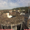 10_15-nest.jpg